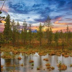 В Свердловской области девушка упала в болото, а ее муж пошел один искать выход из леса