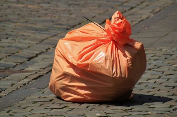 Нарушения экологического законодательства подтвердили в Куйбышевском Затоне