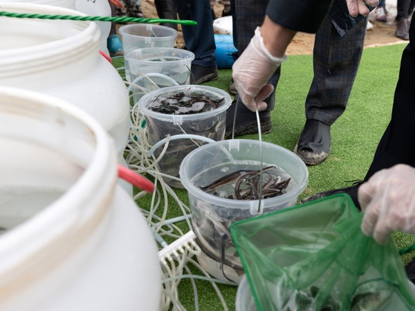 В Казани в День Волги в реку выпустили 3 тысячи мальков стерляди и взяли пробы воды
