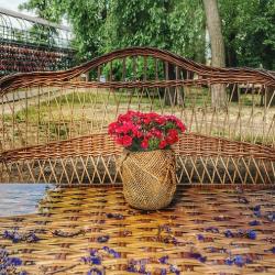 Садовод назвал два растения за выращивание которых дачникам грозит тюрьма