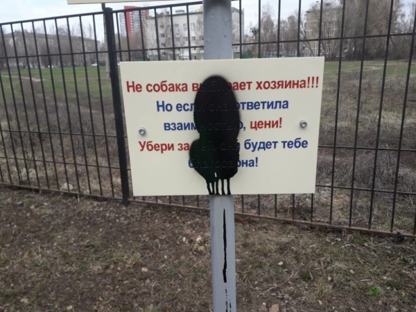 Казанец высадил рябиновую аллею в память о ветеранах Великой Отечественной