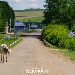 «Казалось бы, одна буква, а последствия…»: в Татарстане нашли расхождения в названиях 38 деревень
