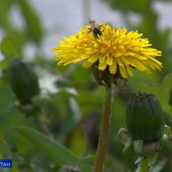 Какой будет вторая половина июня?