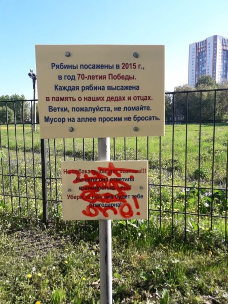 Казанец высадил рябиновую аллею в память о ветеранах Великой Отечественной