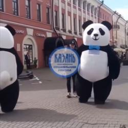 В Казани на Баумана вместо &laquo;коней&raquo; появились &laquo;панды&raquo; (ВИДЕО) 