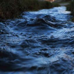 В Башкирии в реке нашли тело пропавшего без вести предпринимателя В Башкирии в реке нашли тело пропавшего без вести предпринимателя