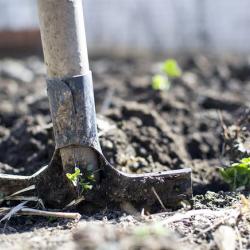 Дочь заживо похоронила мать после ссоры