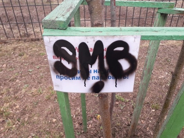 Казанец высадил рябиновую аллею в память о ветеранах Великой Отечественной