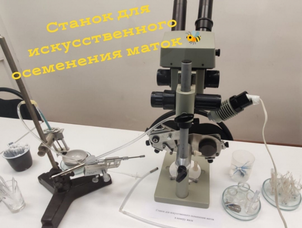 Делегация Татарстана посетила Российский государственный аграрный университет (ФОТО)