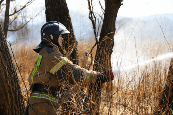 Из-за пожароопасности в Татарстане объявили штормовое предупреждение Из-за пожароопасности в Татарстане объявили штормовое предупреждение