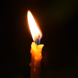 Пропавшую две недели назад девушку нашли мертвой