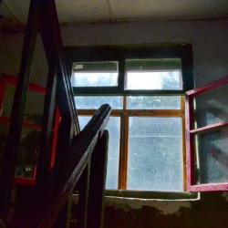 Жители Набережных Челнов жалуются на нашествие блох