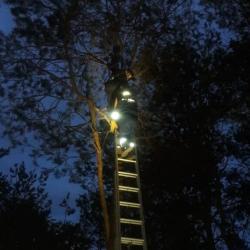 В Альметьевске 12-летний мальчик застрял на дереве на высоте четвертого этажа