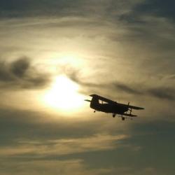 Спасатели обнаружили выжившего пассажира Ан-2 спустя десять дней поисков