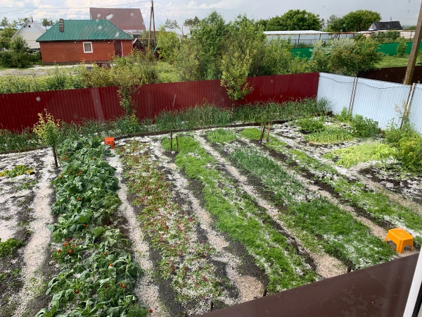 Жителей Башкирии удивил выпавший в июле град Жителей Башкирии удивил выпавший в июле град