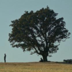 Стали известны конкурсанты XVIII КМФМК