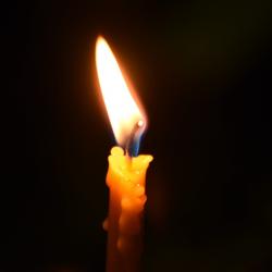 Пропавшая после поездки в такси 21-летняя девушка найдена мертвой