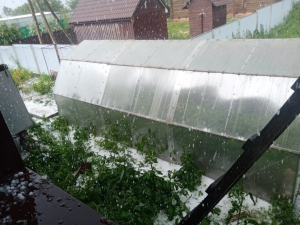 Жителей Башкирии удивил выпавший в июле град Жителей Башкирии удивил выпавший в июле град