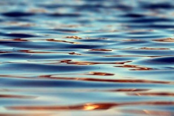 Неизвестный труп на озере Зеркальное обнаружили очевидцы в Казани Неизвестный труп на озере Зеркальное обнаружили очевидцы в Казани