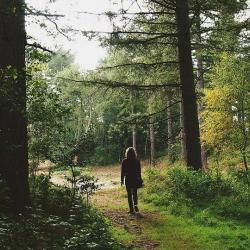 В Казани потерявший работу и жилье инвалид ушел в лес и не ел шесть дней