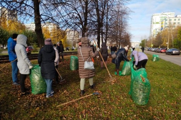 Более 13 тысяч деревьев высадили в Набережных Челнах