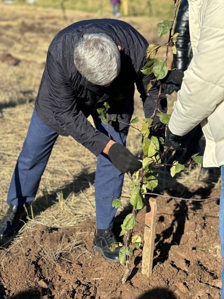 На территории коттеджного посёлка &laquo;Ханская Усадьба&raquo; прошла благотворительная акция по посадке плодовых деревьев (ФОТО)