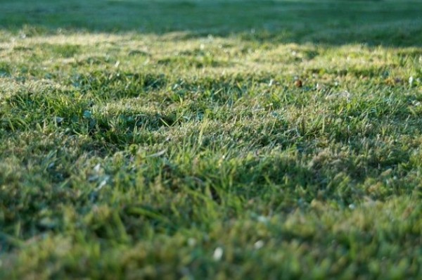 Власти изымут участок на Бухарской для строительства Вознесенского тракта