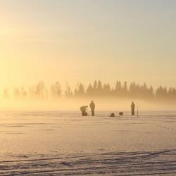 В Татарстане рыбак поймал необычную рыбу на Каме (ФОТО)