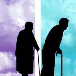 Что нового в январе 2023