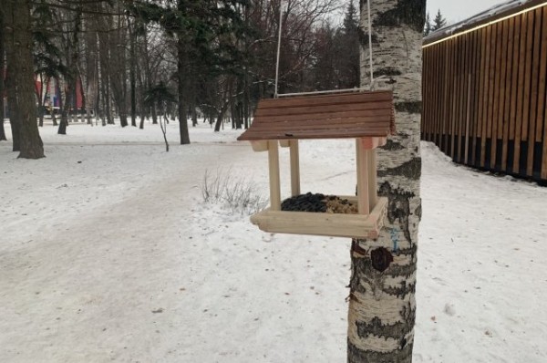 В Татарстане из-за кормежки отбросами мучительно умирают птицы В Татарстане из-за кормежки отбросами мучительно умирают птицы