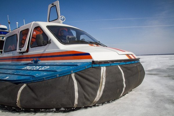 В Татарстане из-за кормежки отбросами мучительно умирают птицы В Татарстане из-за кормежки отбросами мучительно умирают птицы