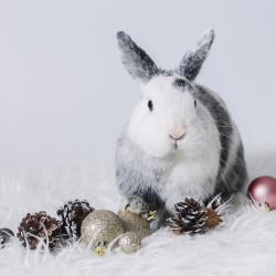 Гороскоп по годам рождения на 2023 год