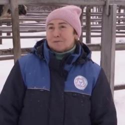 Вышел сюжет о сотрудниках "Элиты" (ВИДЕО)