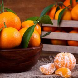 Полезные советы от &laquo;ШАЯН ТВ&raquo;