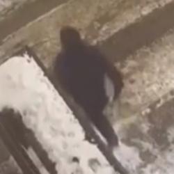 Появилось ВИДЕО, как в Казани неизвестный забил молотком женщину