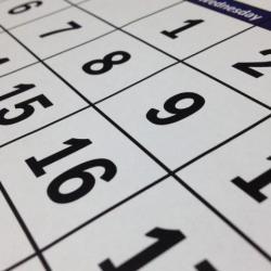 В Госдуме призвали сократить новогодние праздники до трех дней