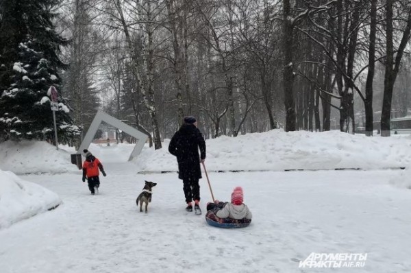 Парень привязал &laquo;плюшку&raquo;-тюбинг к машине, чтобы покататься - и едва не умер