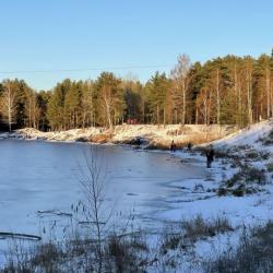 Гадалка сказала: &laquo;Ищите брата у воды в Боровецком лесу&raquo;