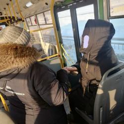 В Казани «зайцам» в общественном транспорте раздавали морковь В Казани «зайцам» в общественном транспорте раздавали морковь