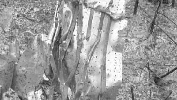 Государственный архив впервые опубликовал снимки с места гибели Гагарина