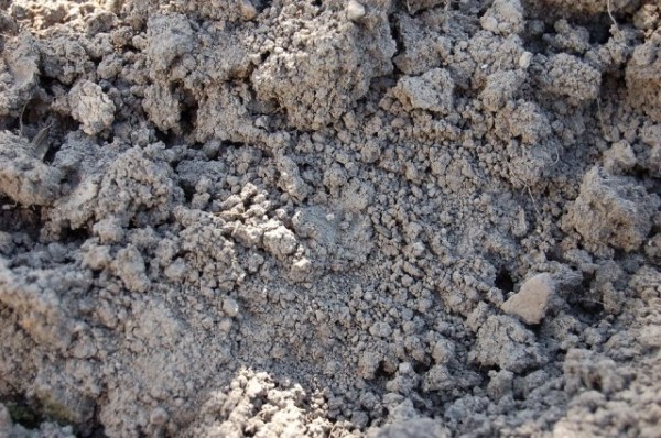 У жителя Казани за 178 неоплаченных штрафов арестовали автомобиль