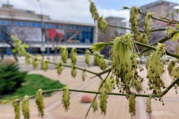 Водозащитная дамба появится летом в Зеленодольском районе Татарстана