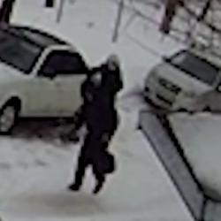 В Нижнекамске мужчина средь бела дня отобрал у бабушки сумки с продуктами