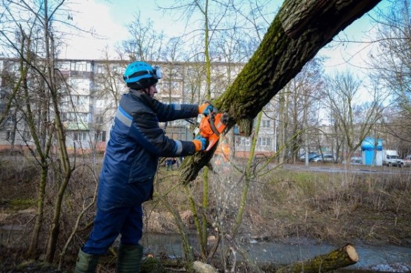 Блогер Чистомэн станет ведущим экологического субботника в Казани