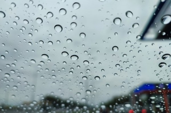 Татарстанцев на выходных ожидает дождь, гроза и потепление Татарстанцев на выходных ожидает дождь, гроза и потепление