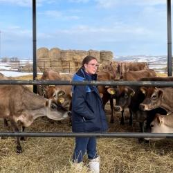 Особенности содержания коров в транзитный период