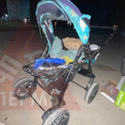 Восьмимесячный ребенок заживо сгорел в коляске Восьмимесячный ребенок заживо сгорел в коляске