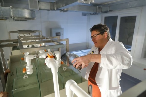 Студентка КНИТУ зарегистрирует свое медицинское ноу-хау