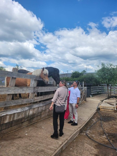 В Татарстане прошел VI Республиканский конкурс зоотехников-селекционеров молочного и мясного скотоводства (ФОТО)