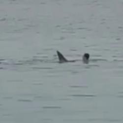 "30 секунд, и всё": Отец погибшего от нападения акулы в Египте россиянина рассказал подробности